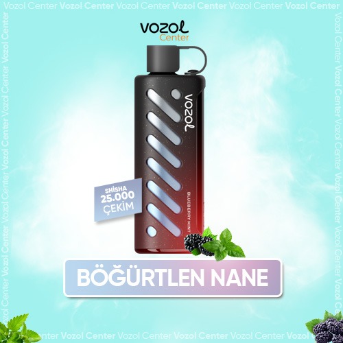 Vozol Gear Shisha 25000 Blueberry İce