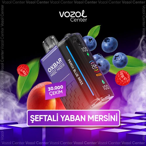 Oxbar Magic Maze 2 30000 Puff Peach Blue Razz