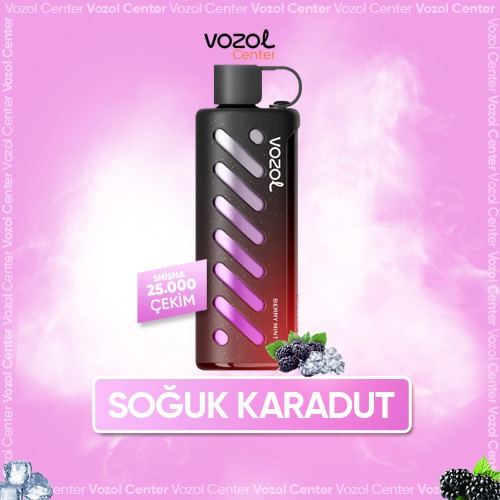 Vozol Gear Shisha 25000 Berry Mint