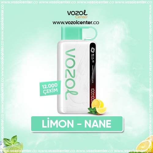 Vozol 12000 Lemon Mint