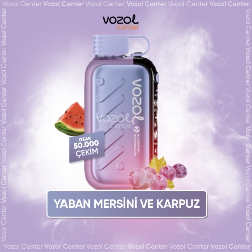 Vozol Gear Ice & Sweet 50000 Blueberry Watermelon