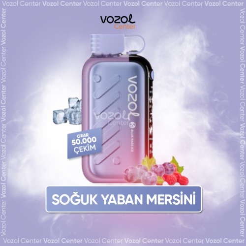 Vozol Gear Ice & Sweet 50000 Blue Razz Ice