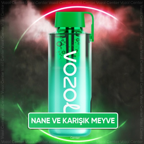 Vozol Neon 10000 Miami Mint