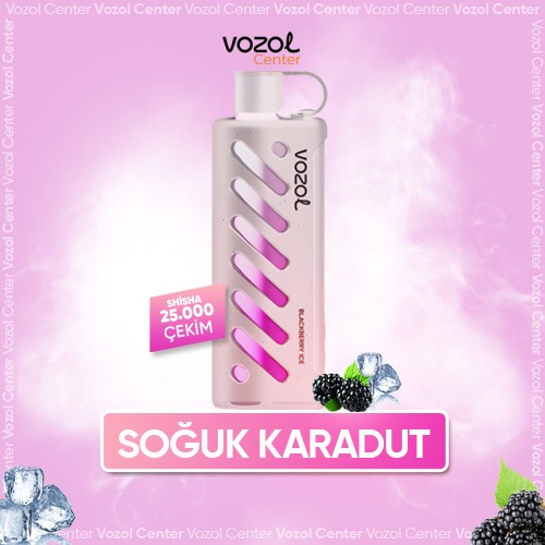 Vozol Gear Shisha 25000 Blackberry Ice