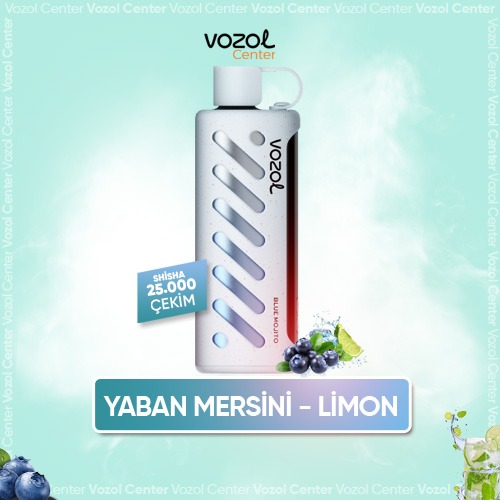 Vozol Gear Shisha 25000 Blue Mojito