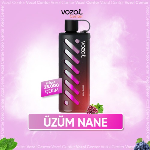 Vozol Gear Shisha 25000 Grape Mint