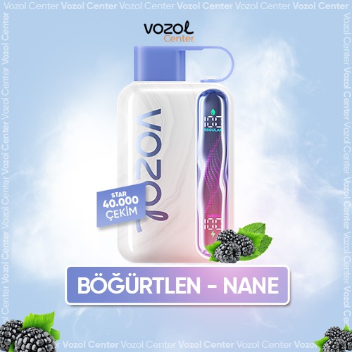 Vozol Star 40000 Blueberry Mint